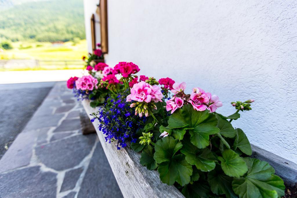 Ferienwohnung Kindl Manuela Neustift im Stubaital Exterior photo